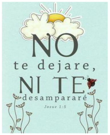 6,50 € No te dejare